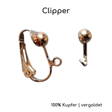 Dein Abschnittstext (6)